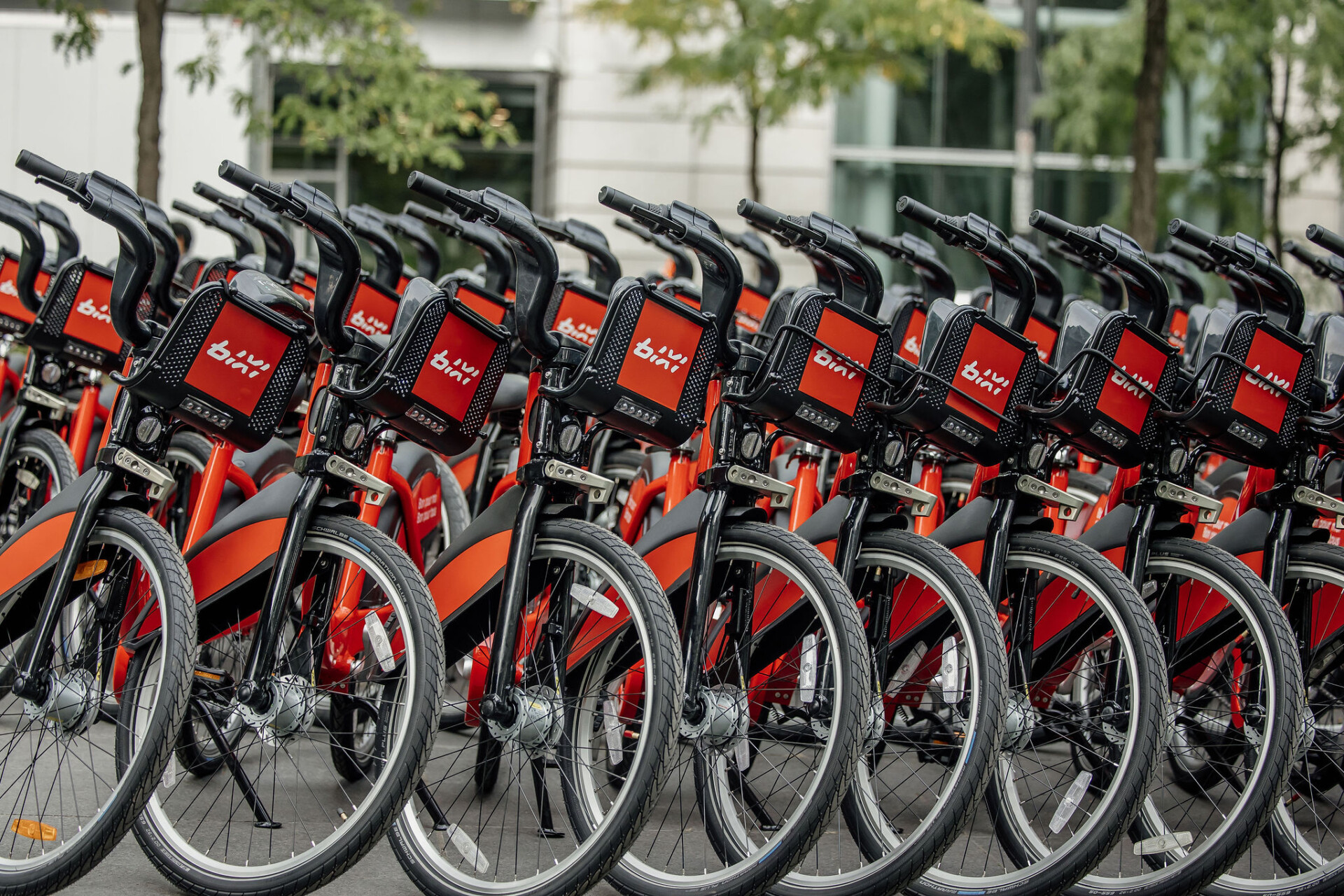 vélos rouges
